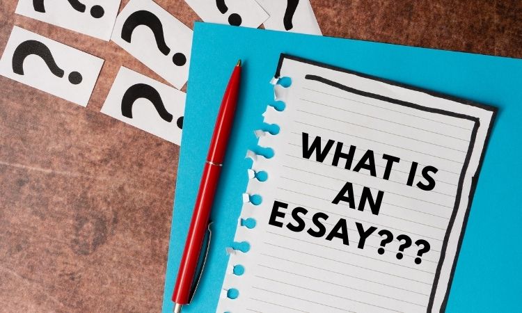 Understanding an essay